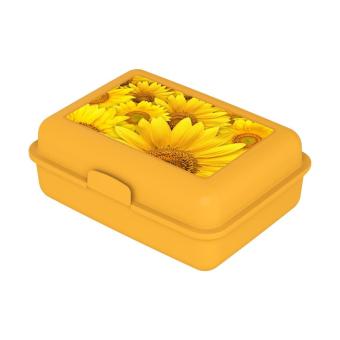 Vorratsdose "School-Box" groß, mit Trennschale Milchig-transparent