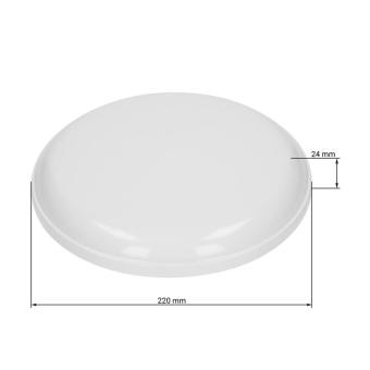 Flying disc "Space Flyer 21" Milky transparent