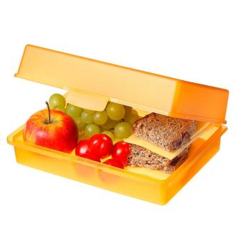 Lunch box "Picnic" Milky transparent