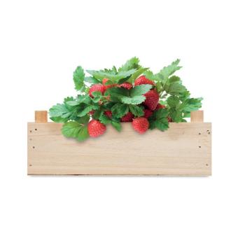 STRAWBERRY Saat-Set Erdbeere Holz