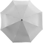 Alex 21.5" foldable auto open/close umbrella Silver/black