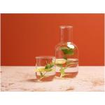 Amelie Set aus Glaskaraffe und Tasse, matt Transparent