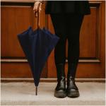Citizen Green Drache 23" Regenschirm aus recyceltem Material Navy