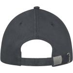 Darton 6 panel sandwich cap Graphite