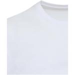 Azurite 160 g/m² short sleeve unisex OCS organic t-shirt, white White | XXL