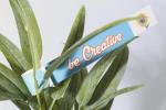 PlantTag custom plant label White