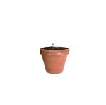 Flocca Pflanz-Set Natur
