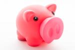 Oiban piggy bank Pink