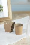 MerryGrow Tannenbaum-Anzuchtset Natur
