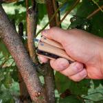Multitool "Wood", small Nature