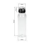 Drinking bottle Active "Oasis" 650 ml Transparent