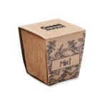 MINT KIT Pflanz-Set Minze Beige
