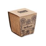SUNFLOWER KIT Sunflower growing kit Fawn