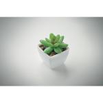 ARTIGRAP Mini artificial plant White