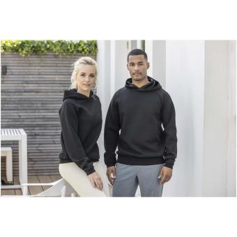 Danali 350 g/m² unisex interlock sports hoodie, black Black | XXS