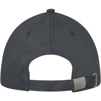 Darton 6 panel sandwich cap Graphite