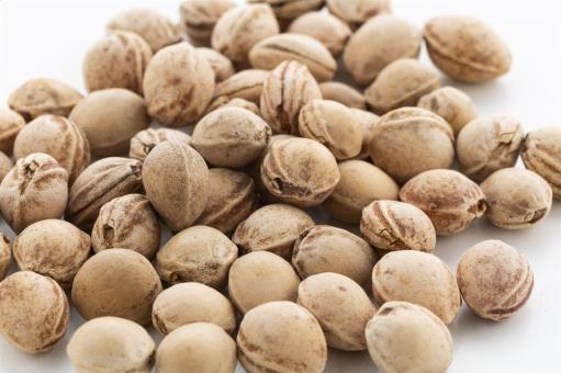 PitHeat Ear Kirschkernkissen Weiß