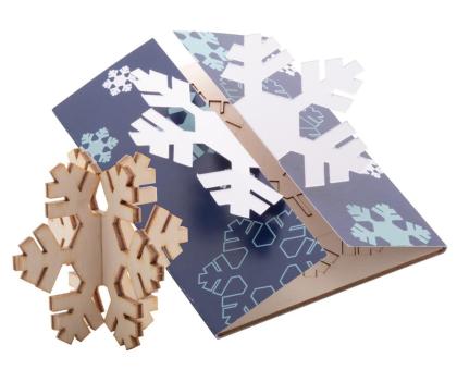 Creax Plus Weihnachtskarte, Schneeflocke Natur