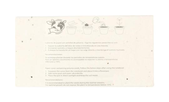 Sedox pencil set Nature