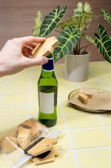 CasaPivo fridge magnet and opener Nature