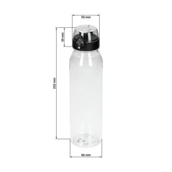 Drinking bottle Active "Oasis" 650 ml Transparent