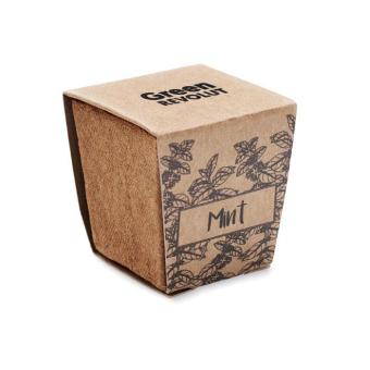 MINT KIT Pflanz-Set Minze Beige