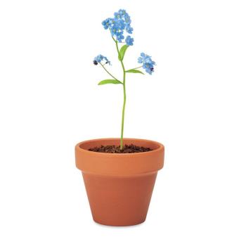 Terracotta pot 'forget me not' Timber