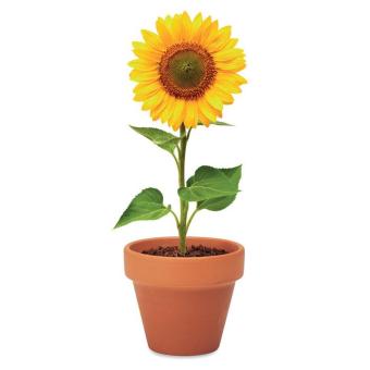 Terracotta pot 'sunflower' Timber