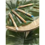 Nash bamboo ballpoint pen Nature blue