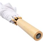 Alina 23" auto open recycled PET umbrella White