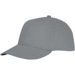 Ares 6 panel cap 