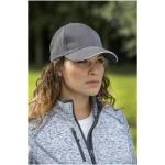 Darton 6 panel sandwich cap Graphite