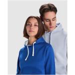 Urban 280 g/m² Kapuzenpullover für Herren, Zen Blau Zen Blau | XS