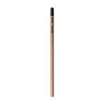 Sprout™ | Pencil Chrysanthemum red