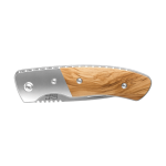 RICHARTZ® LEO picknick olive Silver