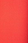 Hasta Yoga-Matte Rot
