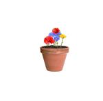 Flocca Pflanz-Set Natur