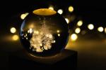 Borealis Christmas light globe Nature