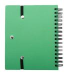 Reesy notebook Green