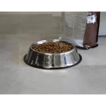 Dog bowl "Dog" Silver