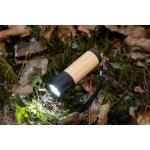 Torch "Shine" Nature