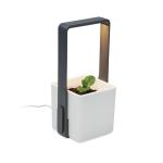LUSHLET Inndor-Pflanztopf mit LED Weiß