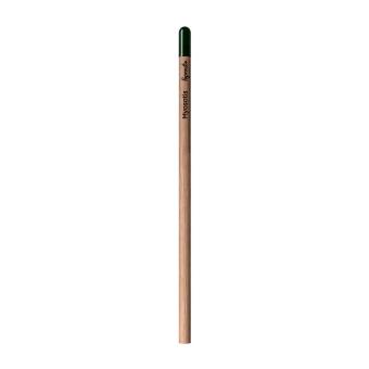Sprout™ | Pencil Chrysanthemum red
