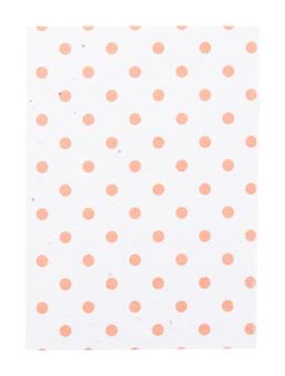 CreaNote A6 Seed custom seed paper notebook White