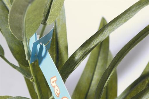 PlantTag custom plant label White