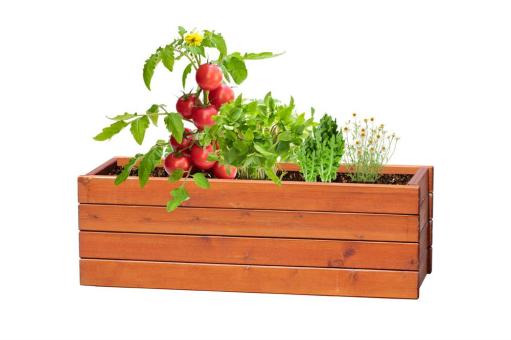 Solmi Pflanz-Set Natur