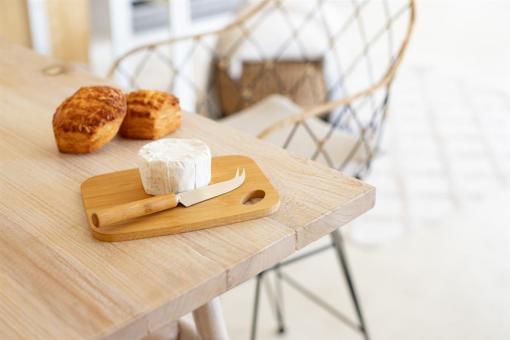 Taleggio cheese set Nature