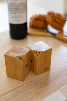 Kerala salt and pepper shaker set Nature