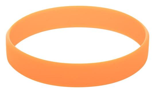 Wristy silicone wristband 