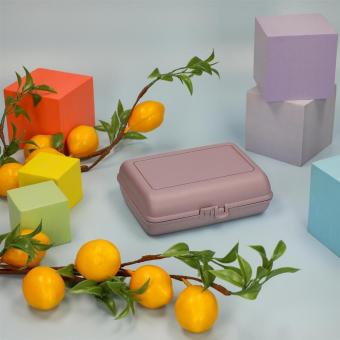 Eco-Lunchbox "Switch" Slate blue